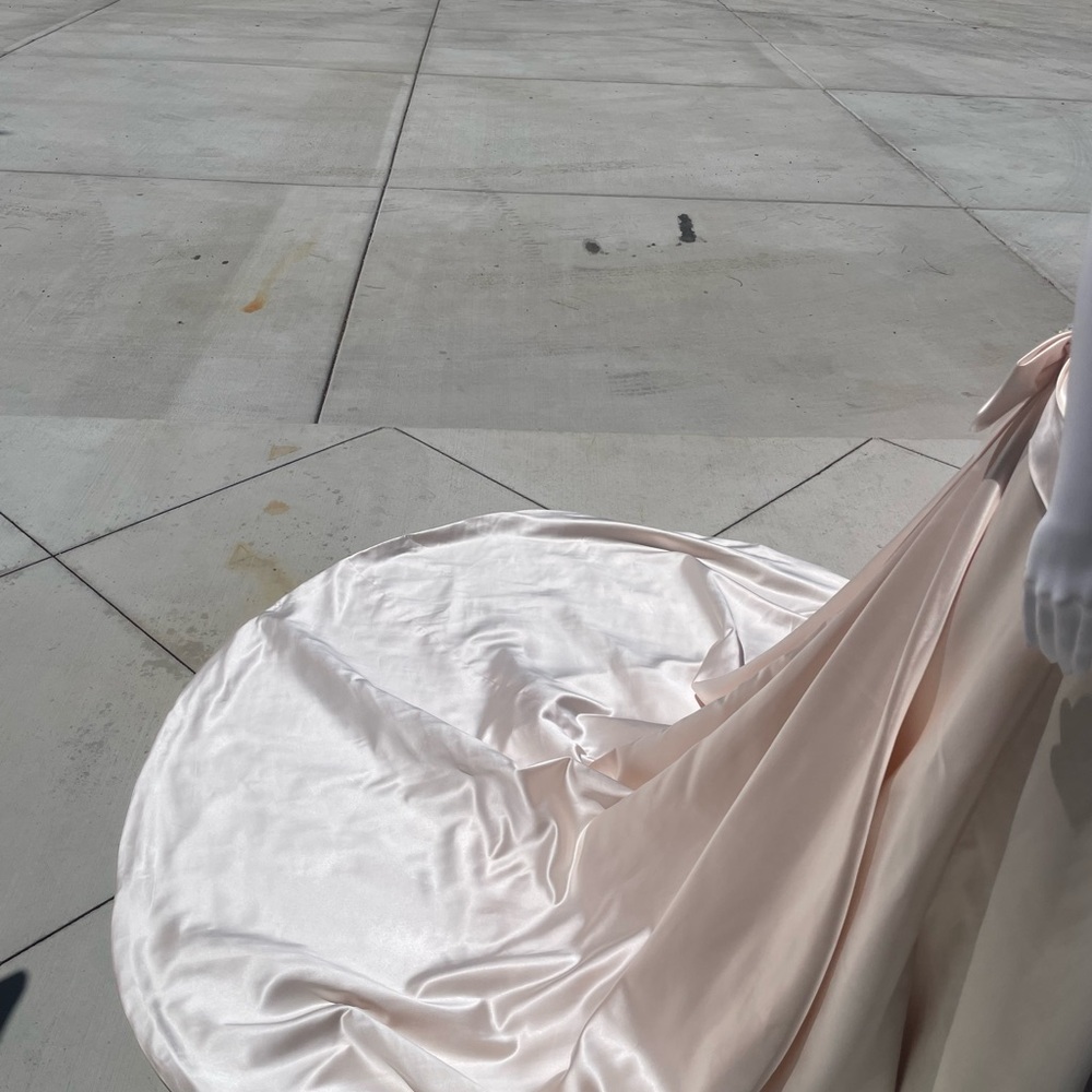 Couture Collection elegant Blush wedding dress - Picture 7 of 15